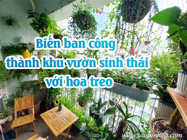 Biến Ban Công Thành Khu Vườn Sinh Thái Với Hoa Treo