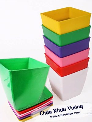 Chậu Nhựa Vuông