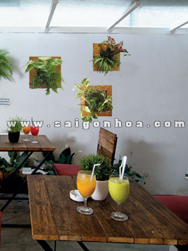 Tranh Cây Treo Tường Trang Trí Quán Cafe • Sài Gòn Hoa 2024