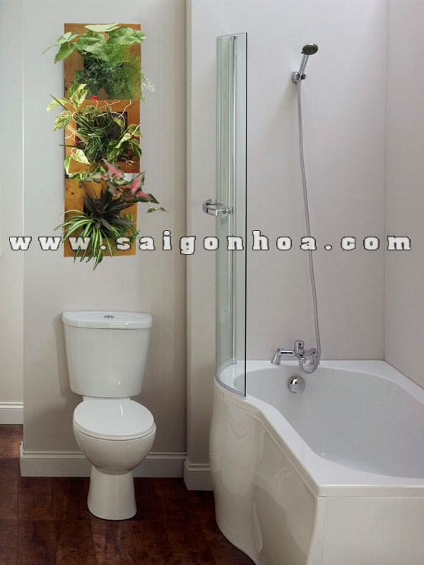 Tranh Cây Treo Tường Trang Trí Phòng Tắm • Sài Gòn Hoa 2024