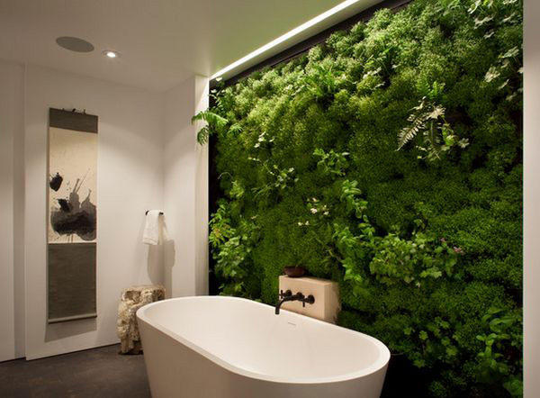 Những loài cây tốt nhất phù hợp cho phòng tắm của bạn 