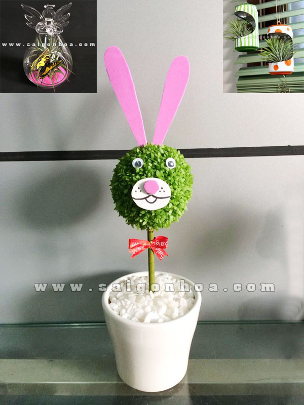 cay-may-man-con-tho-2