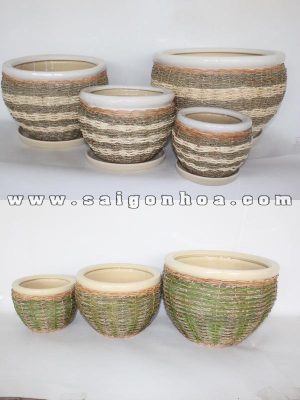 Chậu Gốm Sứ Đan Mây