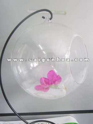 Chậu Thuỷ Tinh Quả Cầu Đường Kính 18cm