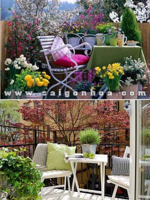 Patio Đơn Giản Cho Không Gian Nhỏ