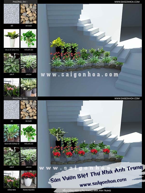 Tiểu Cảnh Nhà Anh Trung Ở Quận Tân Bình