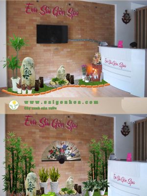 Tiểu Cảnh Đặt Tại Sảnh Spa