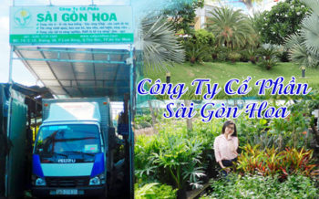 Cong Ty Sai Gon Hoa
