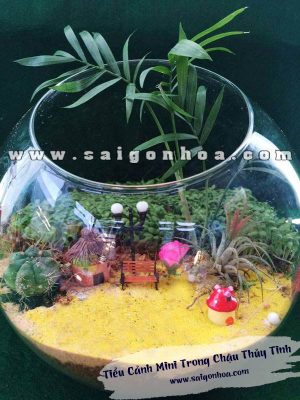 Tiểu Cảnh Mini Trong Chậu Thủy Tinh 01