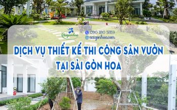Dich Vu Thi Cong