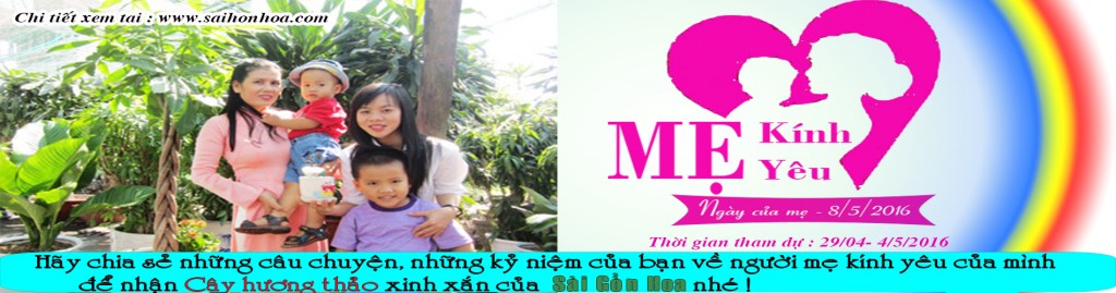 banner ngay cua me