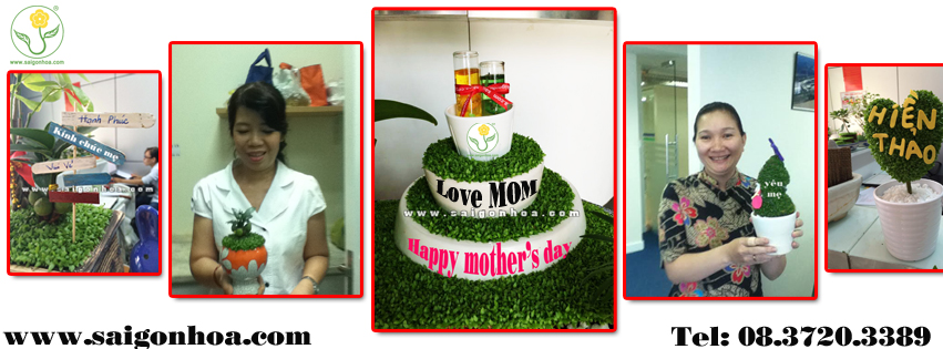 banner ngay cua me cay may man