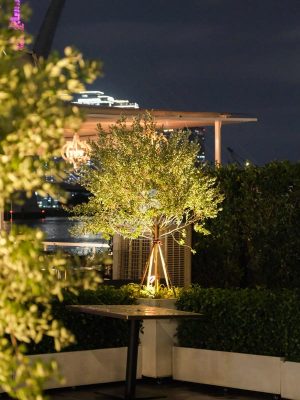 Tư Vấn Thiết Kế Cảnh Quan