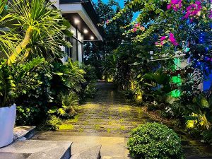 HÈ XANH THAY DIỆN MẠO MỚI