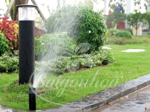 Thi Công Sân Vườn - Trồng Cỏ Được Thực Hiện Như Thế Nào?