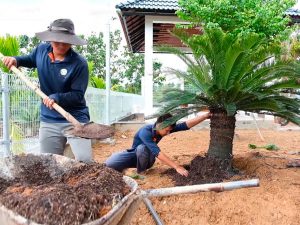 Nơi cung cấp và thi công đèn cảnh quan