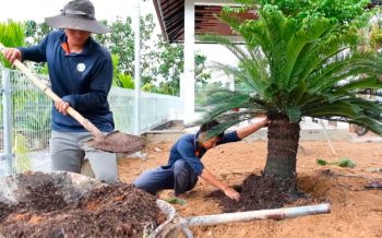 Nơi cung cấp và thi công đèn cảnh quan