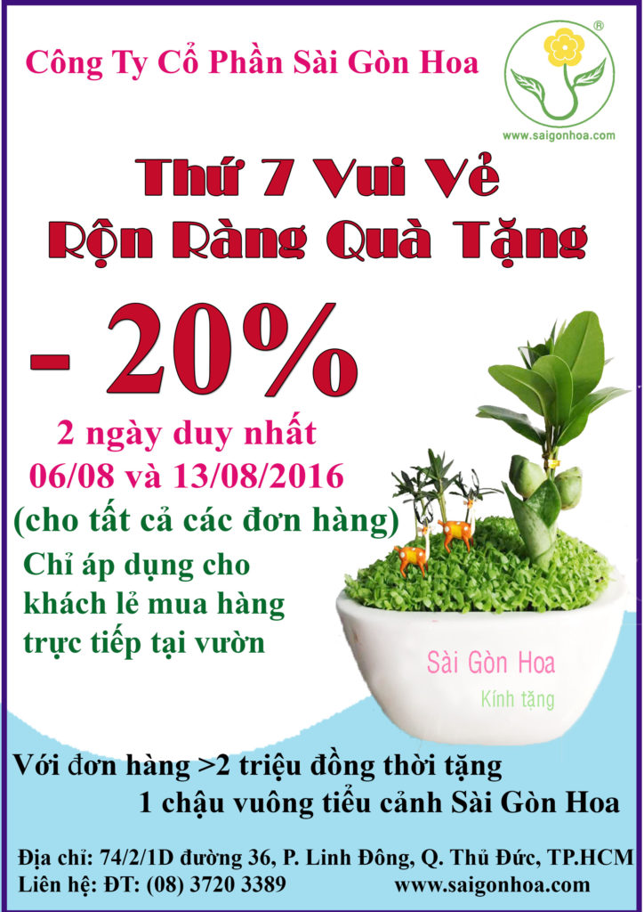 chuong trinh thu 7 vui ve