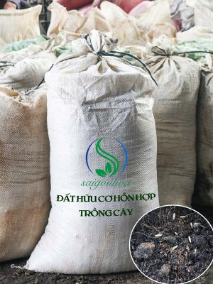 Đất Hữu Cơ Hỗn Hợp Trồng Cây