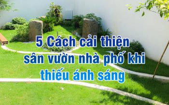 Cai Thien San Vuon Thieu Sang