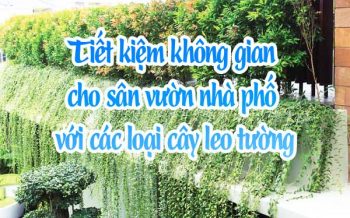 Tiet Kiem Khong Gian Cho San Vuon Nha Pho