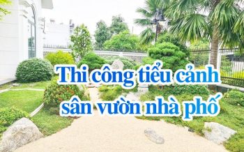 Thi Cong Tieu Canh San Vuon Nha Pho 1