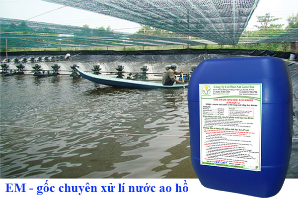 Che Pham Sinh Hoc Ecoprobi Xi Li Nuoc Ao Ho