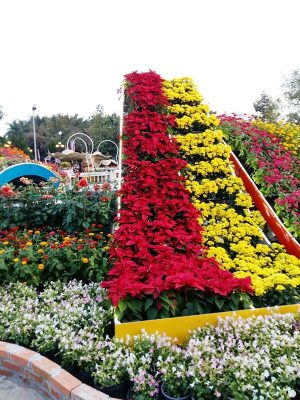 Tiểu Cảnh Tết Dành Cho Khu Vui Chơi - Resort - Công Viên