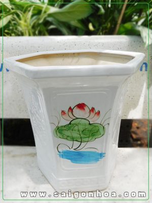 Chậu Lục Giác Hoa Sen Bát Tràng