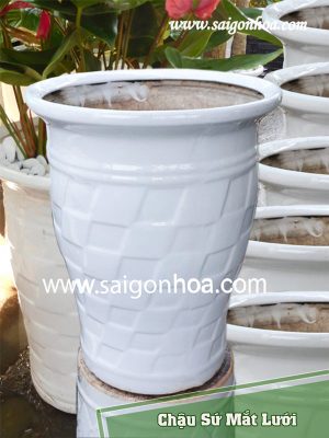 Chậu Sứ Mắt Lưới