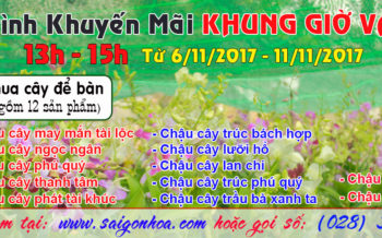 Chuong Trinh Khuyen Mai Khung Gio Vang