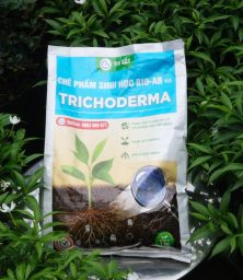 Chế-phẩm-sinh-học-BIO-AB