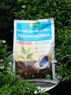 Chế-phẩm-sinh-học-BIO-AB