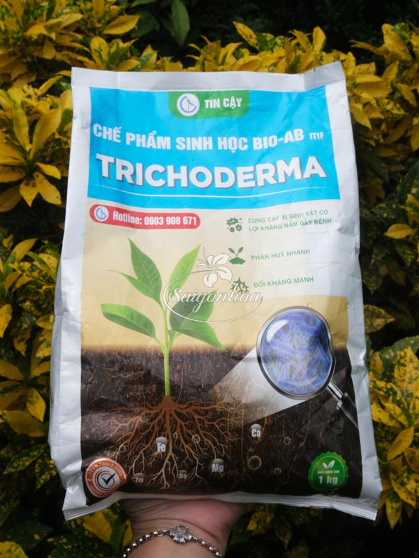 Chế-phẩm-sinh-học-BIO-AB-4