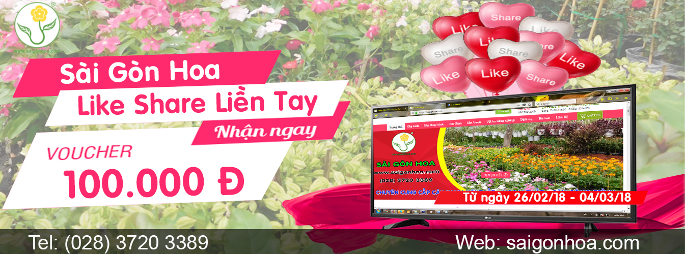 like share lien tay nhan ngay voucher