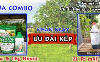 Mua Combo Phan Huu Co Nhan Uu Dai Kep