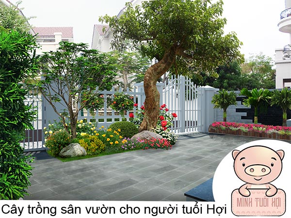 Các Loại Cây Trồng Trong Sân Vườn Cho Người Tuổi Hợi • Sài Gòn Hoa 2022