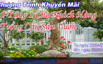 Mua 10 Tang 1 Cho Khach Hang Trong Cay San Vuon