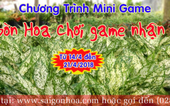 Sai Gon Hoa Choi Game Nhan Qua