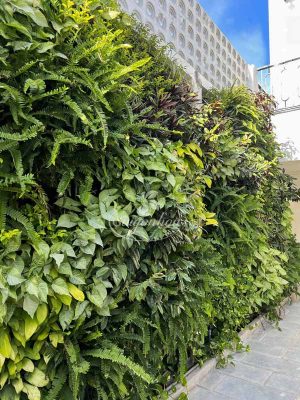 Dịch vụ thi công lắp đặt hệ thống tưới tự động sân vườn