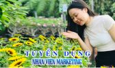 Tuyen Nhan Vien Marketing 2024