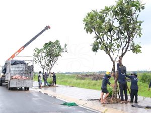 Phương án thi công công trình cảnh quan