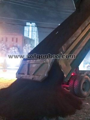 Đất Thịt - Đất Đen Trồng Cây