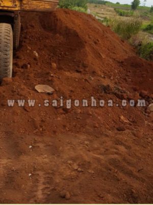 Đất Thịt - Đất Đỏ Trồng Cây