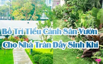 Bo Tri Tieu Canh San Vuon Cho Nha Day Sinh Khi