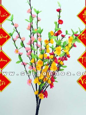 Cành Mai, Cành Đào Tết