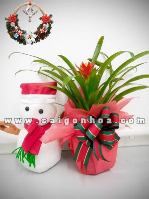 Dứa Cảnh Nến Quà Tặng Noel