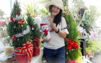 Cung Cap Cay Canh Noel