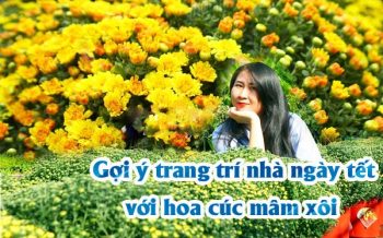 Goi Y Trang Tri Nha Ngay Tet Voi Hoa Cuc Mam Xoi