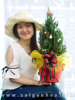Cây Tùng Bút Trang Trí Noel